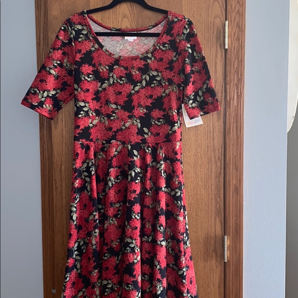 Lularoe Nicole